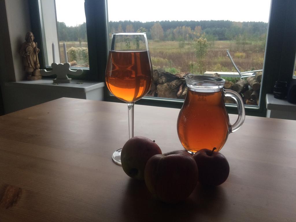 Chamedafne W Puszczy Kampinoskiej Brochów Екстериор снимка